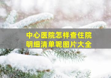 中心医院怎样查住院明细清单呢图片大全