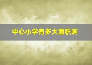 中心小学有多大面积啊