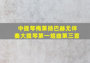 中提琴梅第扬巴赫无伴奏大提琴第一组曲第三首