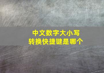 中文数字大小写转换快捷键是哪个