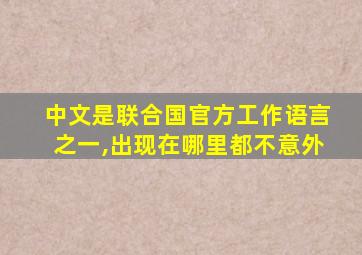 中文是联合国官方工作语言之一,出现在哪里都不意外