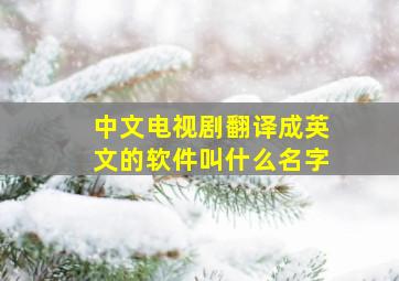 中文电视剧翻译成英文的软件叫什么名字