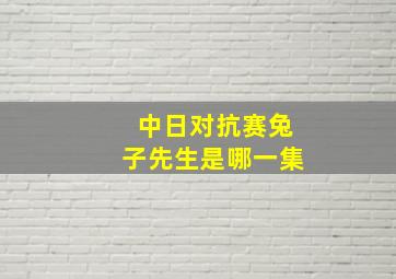 中日对抗赛兔子先生是哪一集