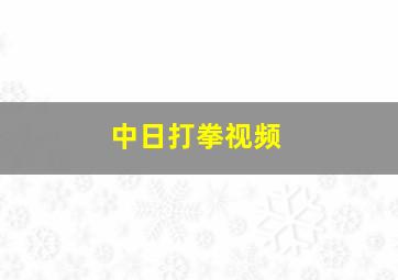 中日打拳视频