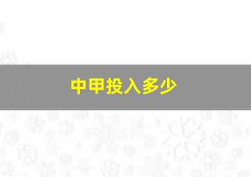 中甲投入多少