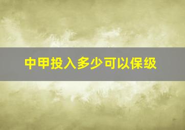 中甲投入多少可以保级