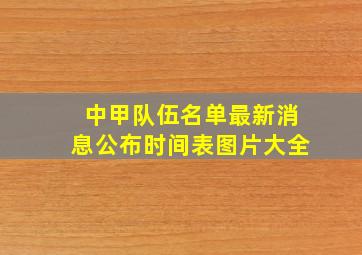 中甲队伍名单最新消息公布时间表图片大全