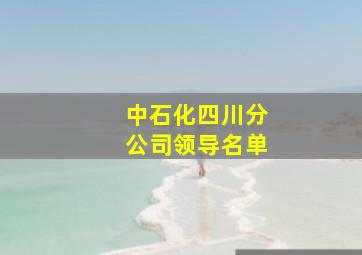 中石化四川分公司领导名单