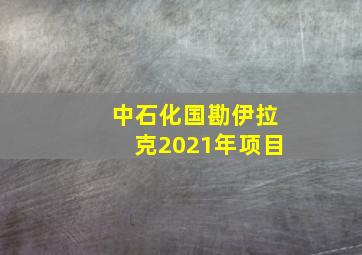 中石化国勘伊拉克2021年项目