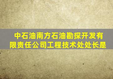 中石油南方石油勘探开发有限责任公司工程技术处处长是