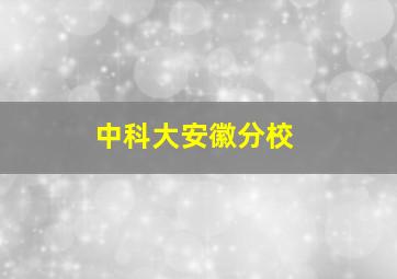 中科大安徽分校