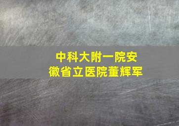 中科大附一院安徽省立医院董辉军