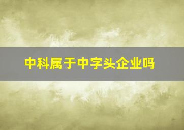 中科属于中字头企业吗