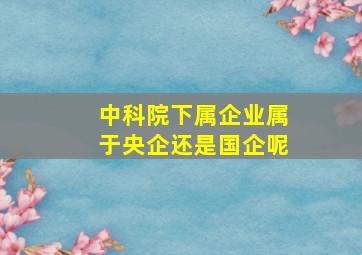 中科院下属企业属于央企还是国企呢