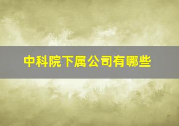 中科院下属公司有哪些