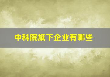 中科院旗下企业有哪些