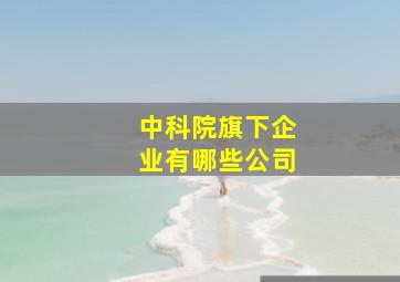 中科院旗下企业有哪些公司