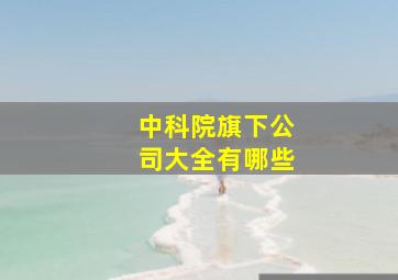 中科院旗下公司大全有哪些