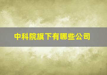 中科院旗下有哪些公司