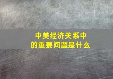 中美经济关系中的重要问题是什么