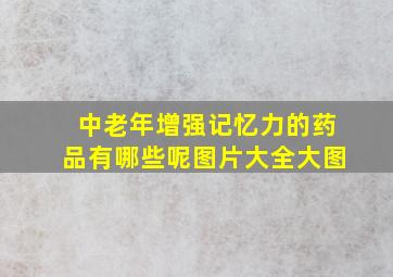 中老年增强记忆力的药品有哪些呢图片大全大图