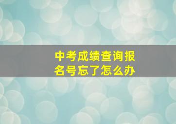 中考成绩查询报名号忘了怎么办