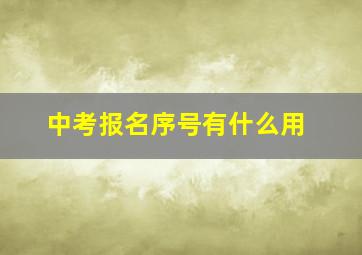 中考报名序号有什么用