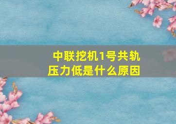 中联挖机1号共轨压力低是什么原因