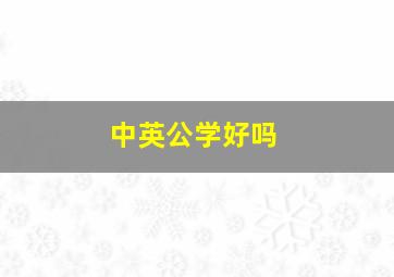 中英公学好吗