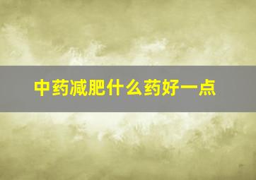 中药减肥什么药好一点