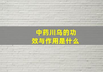 中药川乌的功效与作用是什么