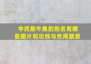 中药犀牛角的别名有哪些图片和功效与作用禁忌