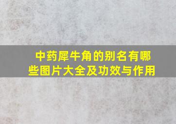 中药犀牛角的别名有哪些图片大全及功效与作用