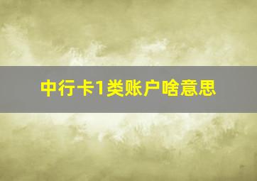 中行卡1类账户啥意思