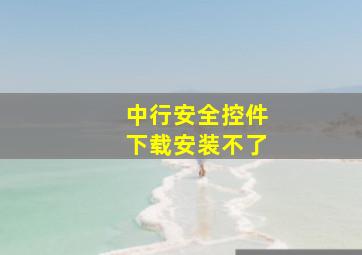 中行安全控件下载安装不了