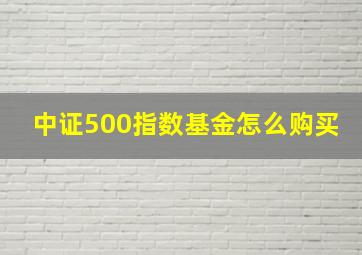 中证500指数基金怎么购买