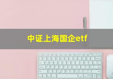 中证上海国企etf