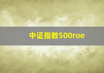 中证指数500roe