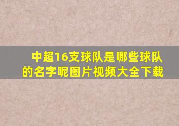 中超16支球队是哪些球队的名字呢图片视频大全下载