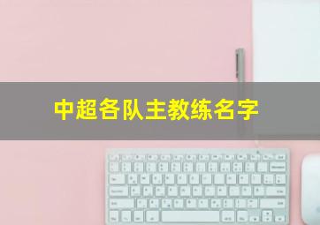 中超各队主教练名字