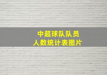 中超球队队员人数统计表图片