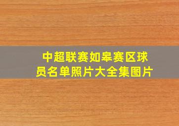 中超联赛如皋赛区球员名单照片大全集图片