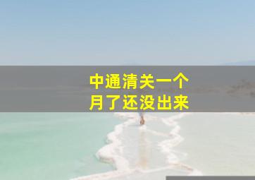 中通清关一个月了还没出来