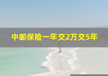 中邮保险一年交2万交5年