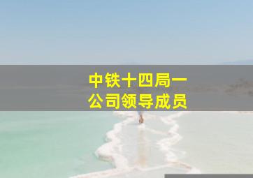 中铁十四局一公司领导成员