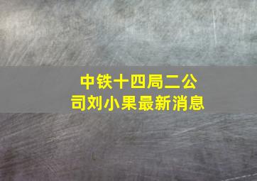 中铁十四局二公司刘小果最新消息