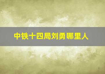 中铁十四局刘勇哪里人