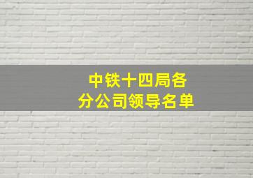 中铁十四局各分公司领导名单