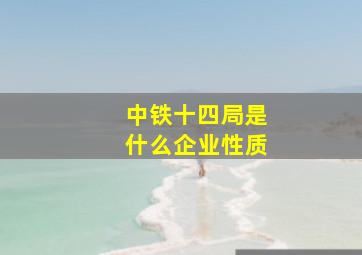 中铁十四局是什么企业性质