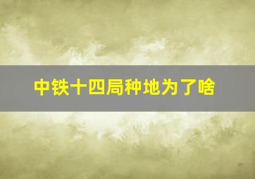 中铁十四局种地为了啥